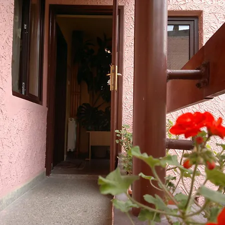 Pensiunea Podul Minciunilor 2* Sibiu
