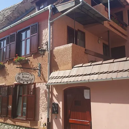 Pensiunea Podul Minciunilor Guest house 2*