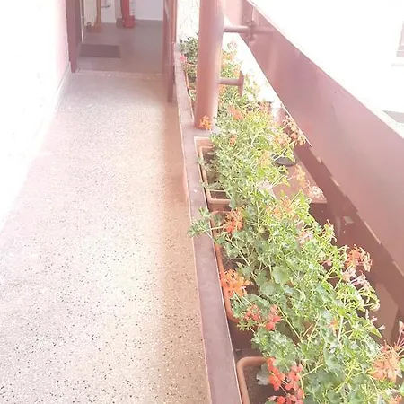 Guest house Pensiunea Podul Minciunilor Sibiu